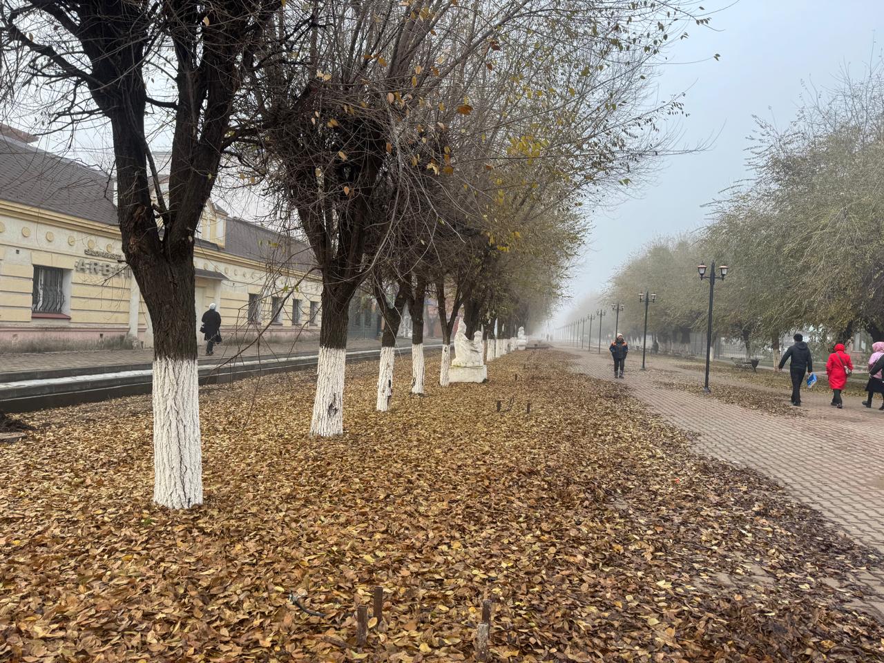 Прохладная пятница в Уральске: прогноз погоды на 21 ноября